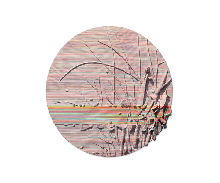 00